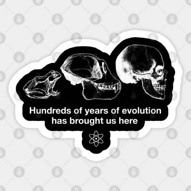 "Hundreds of years of Evolution" Funny Science Joke Shirt Sticker by blueversion